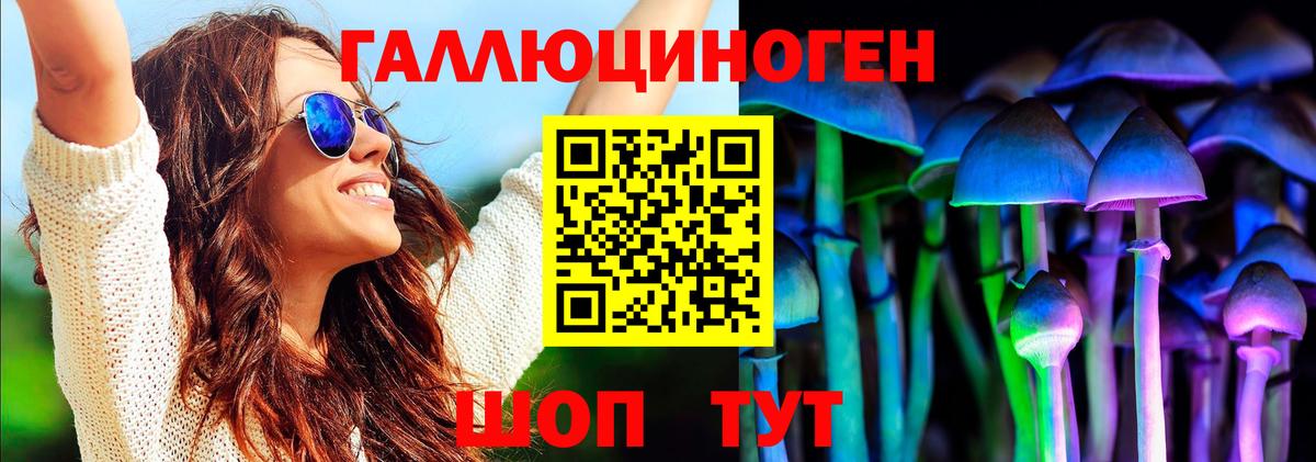 как найти наркотики  Псилоцибиновые грибы Psilocybe  Вход с VPN  Кимры  Галлюциногенные грибы мицелий 
